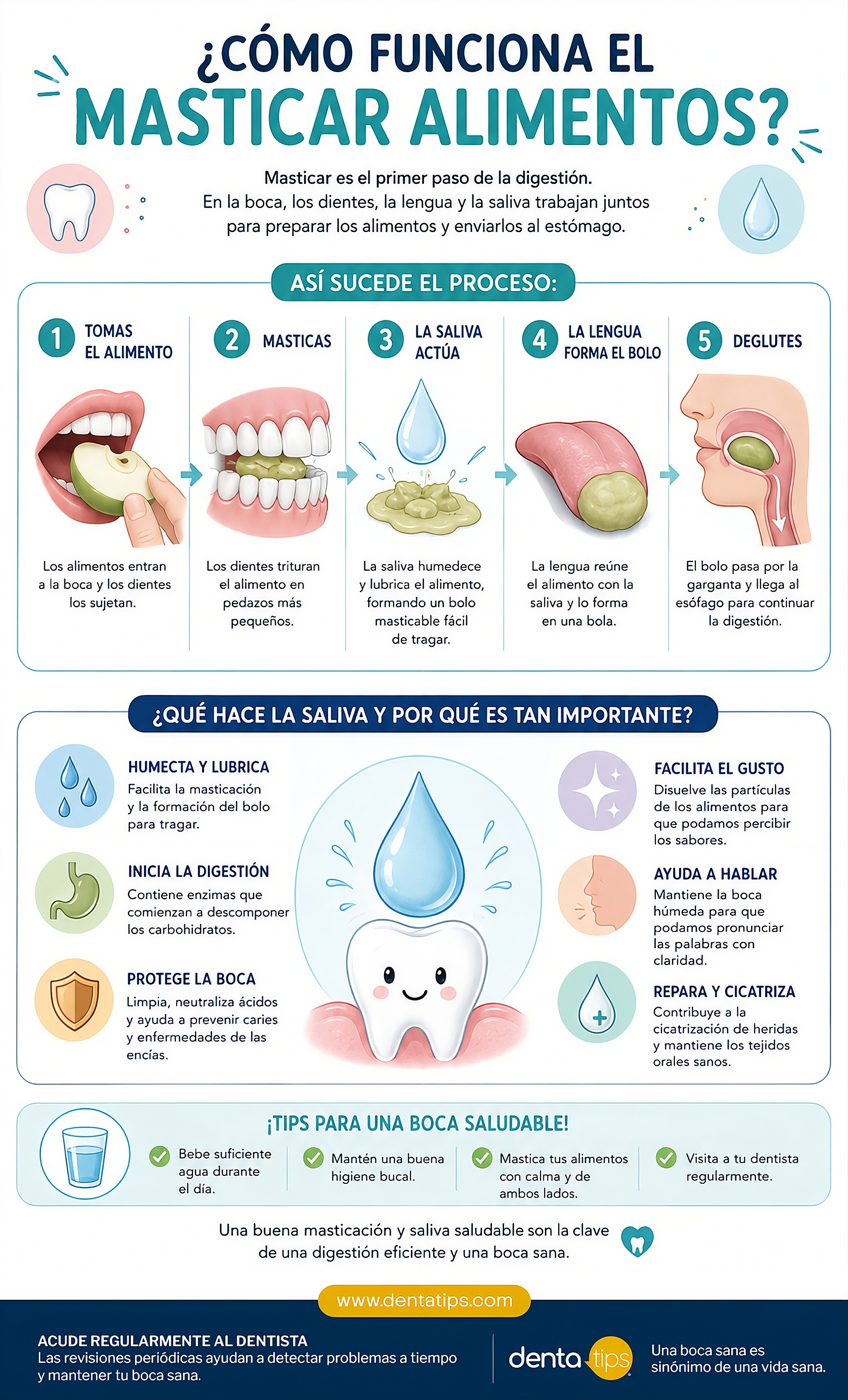 Hilo dental correcto